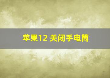 苹果12 关闭手电筒